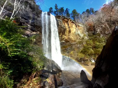 Toccoa - Photo 3