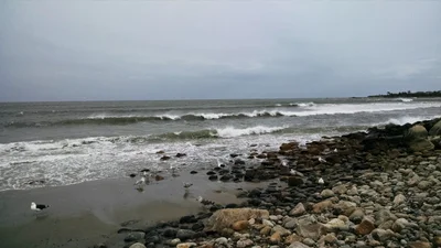 Little Compton - Photo 4