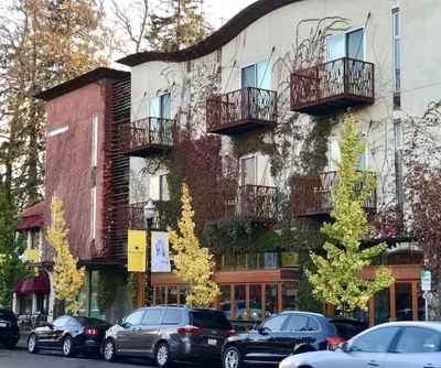 Healdsburg - Photo 4