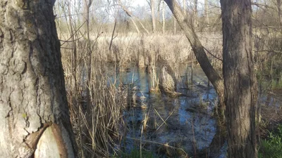 Crystal Lake - Photo 2