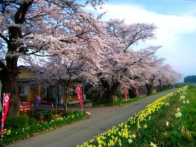 Nagai - Photo 3