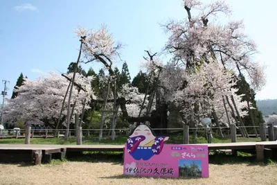 Nagai - Photo 4