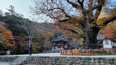 Buan-gun - Photo 3