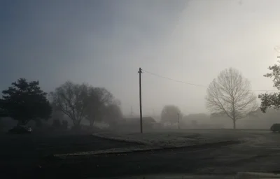 Mount Juliet - Photo 2