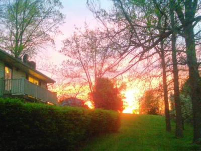 Mount Juliet - Photo 4