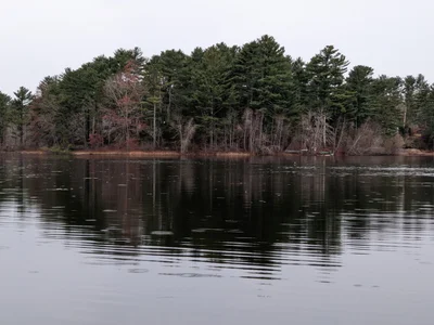 Duxbury - Photo 2