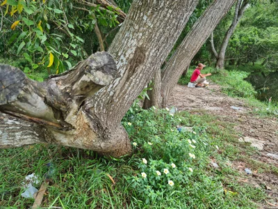Gopeng - Photo 2