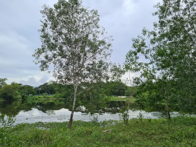 Gopeng - Photo 3