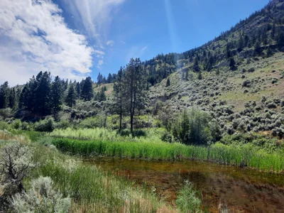 Area D (Skaha East/Okanagan Falls) - Photo 3