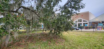 Lake Wales - Photo 2