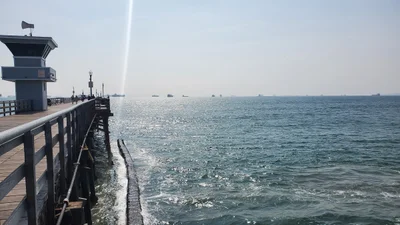 Seal Beach - Photo 5