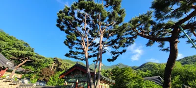 Muju-gun - Photo 5