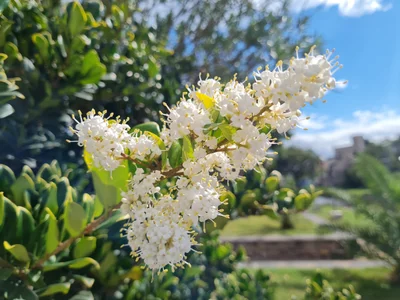 Villa Allende - Photo 3