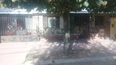 Sinsacate - Photo 4