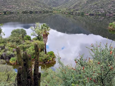 San Agustin del Valle Fertil - Photo 4