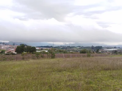 Bolivar - Photo 4