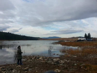 Merritt - Photo 5