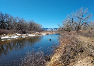 Littleton - Photo 2