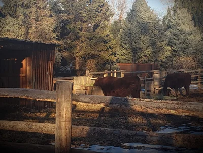 Littleton - Photo 4