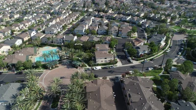 Carson - Photo 2