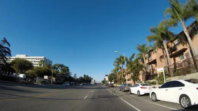 Carson - Photo 3