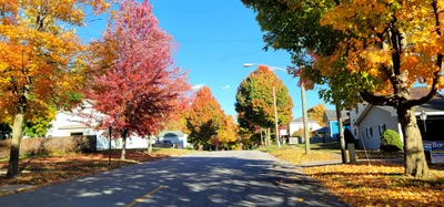 Coldwater - Photo 4