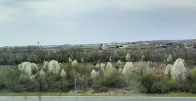 Crown Point - Photo 4
