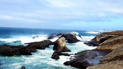 Point Arena - Photo 3