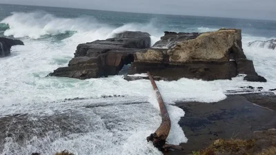 Point Arena - Photo 5