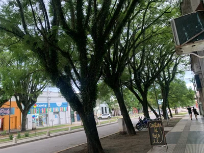 Tafi Viejo - Photo 3