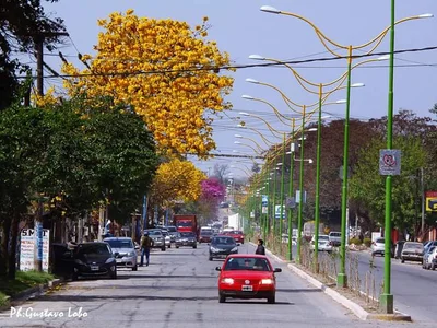 Tafi Viejo - Photo 5
