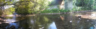 Woodstock - Photo 4