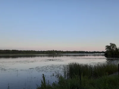 Kawartha Lakes - Photo 5