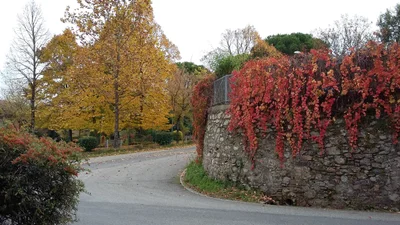 Monticiano - Photo 3