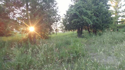 Lambton Shores - Photo 3