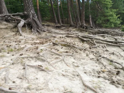 Frontenac Islands - Photo 2
