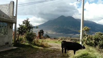 San Rafael - Photo 2