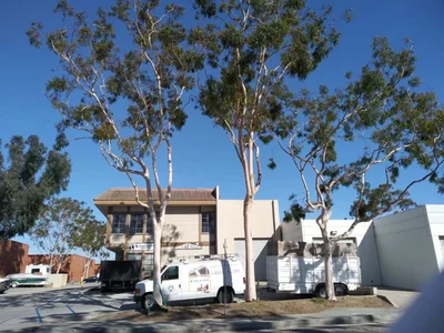 Torrance - Photo 4
