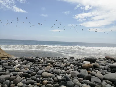 Pativilca - Photo 3