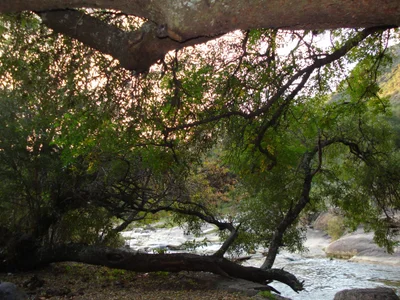 Cerro Colorado - Photo 3