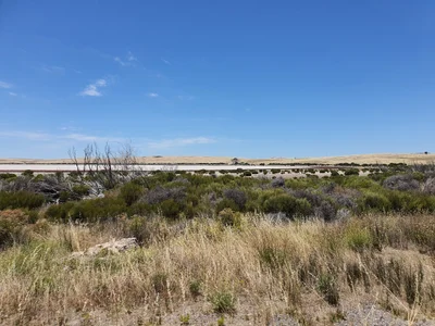 Nullarbor - Photo 5