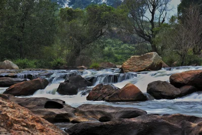 Marayur - Photo 2