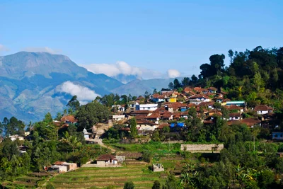 Marayur - Photo 4