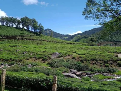 Marayur - Photo 5