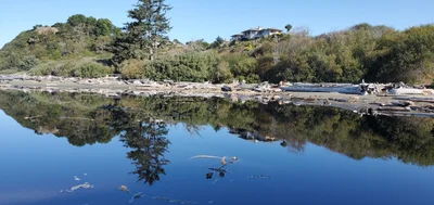 Brookings - Photo 3