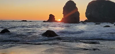 Brookings - Photo 4