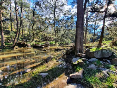 Ophir - Photo 2