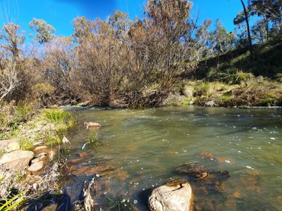 Ophir - Photo 4