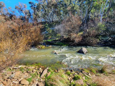 Ophir - Photo 5