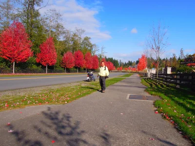 Township of Langley - Photo 5
